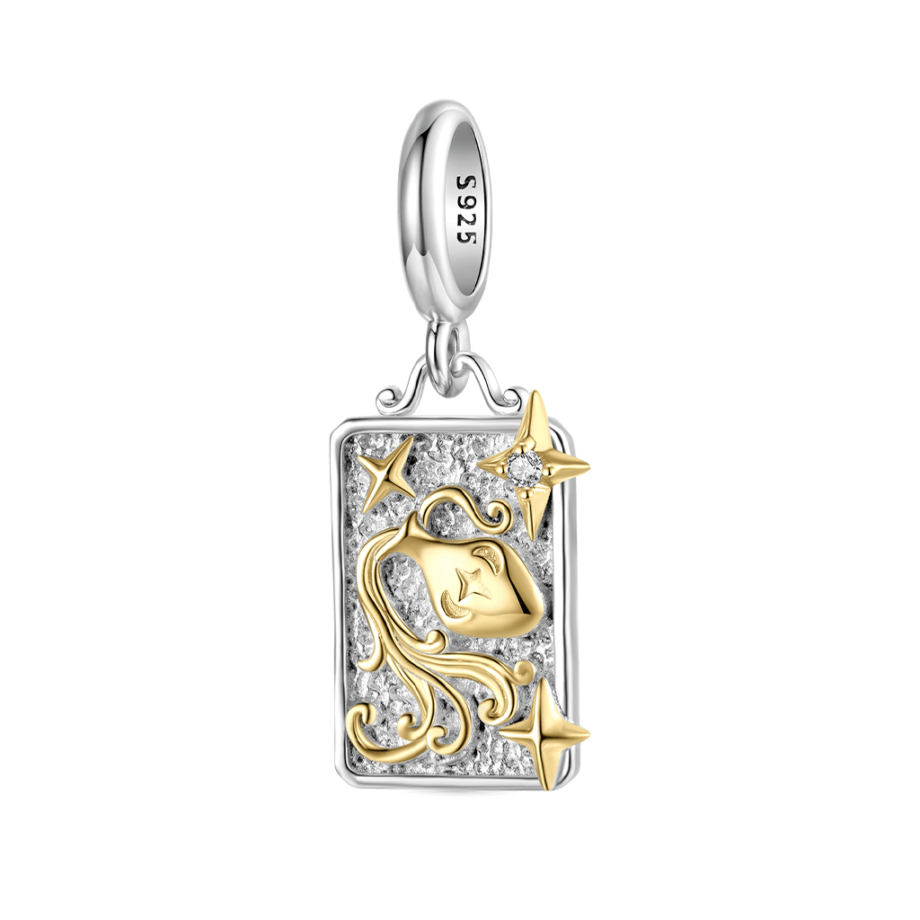 Gnoce Constellation Aquarius Pendant Dangle Charm_1