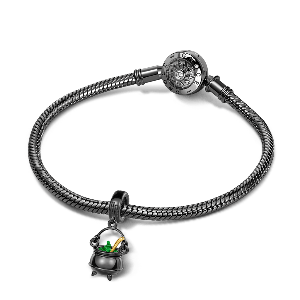 Gnoce Harry Potter Wizard Pot Pendant Dangle Charm_3